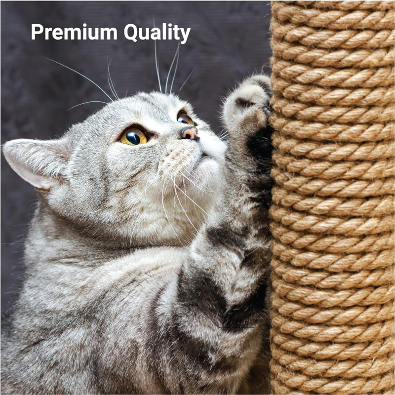 Tucker Murphy Pet 2 Pack Cat Tree Scratching Post Replacement Natural Jute Pole Cat Scratching Post Cat Tree Kitten Scratcher Cat Scratcher Kitten Scratching Post Wayfair